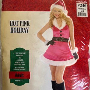 CLEARANCE SALE! Womens Pink Santa Costume